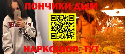 индика Кинель