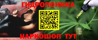 мяу мяу мука Кимры
