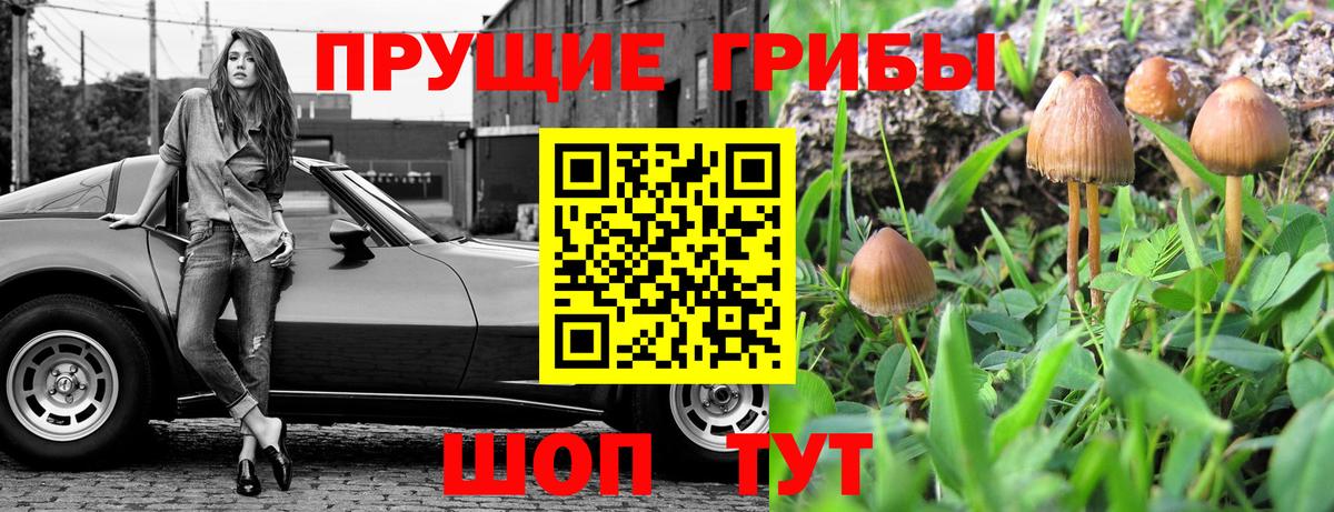 Галлюциногенные грибы мицелий Карасук