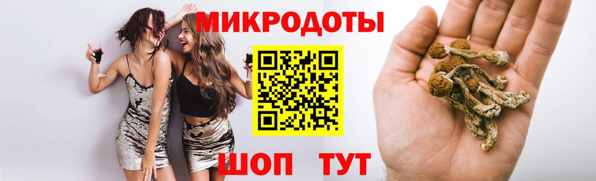 Галлюциногенные грибы MAGIC MUSHROOMS  Вход с VPN  где можно купить наркотик  Карасук 